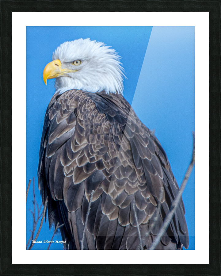 His Majesty Impression et Cadre photo