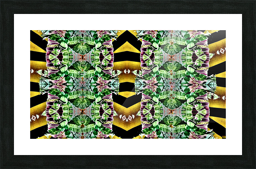 Perception   Picture Frame print