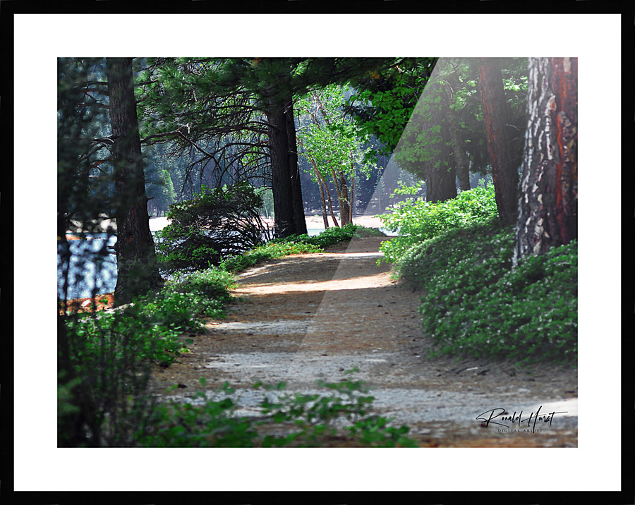  Fine Art print