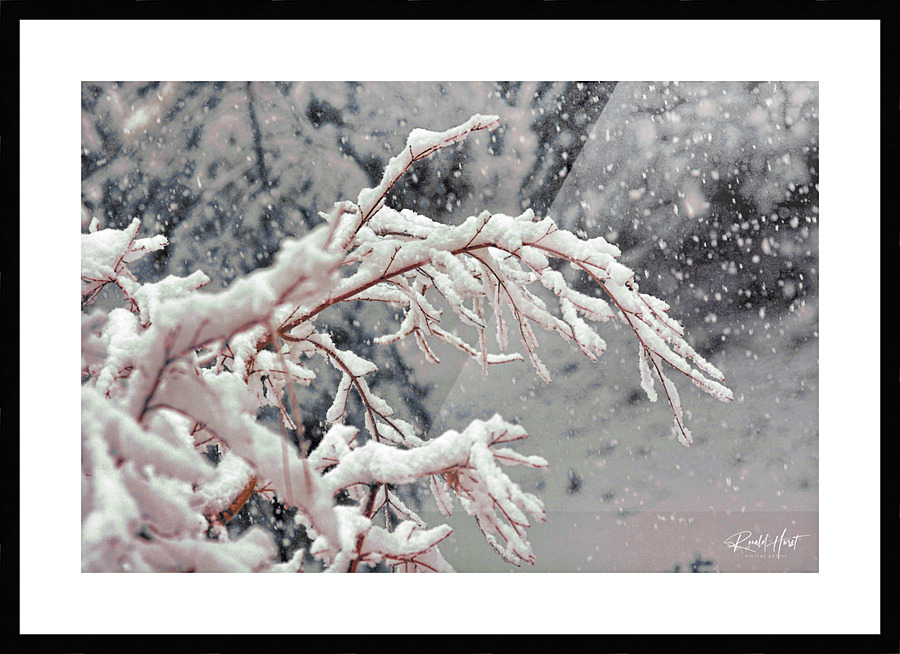  Fine Art print