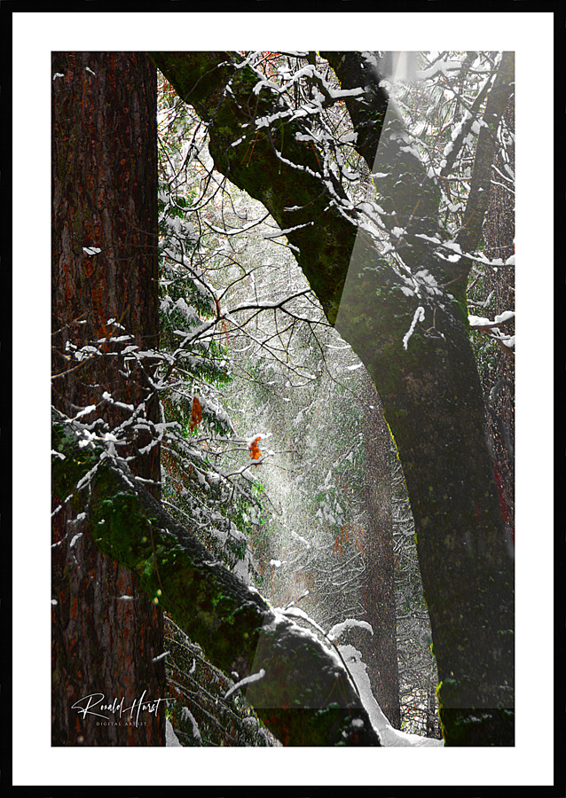  Fine Art print