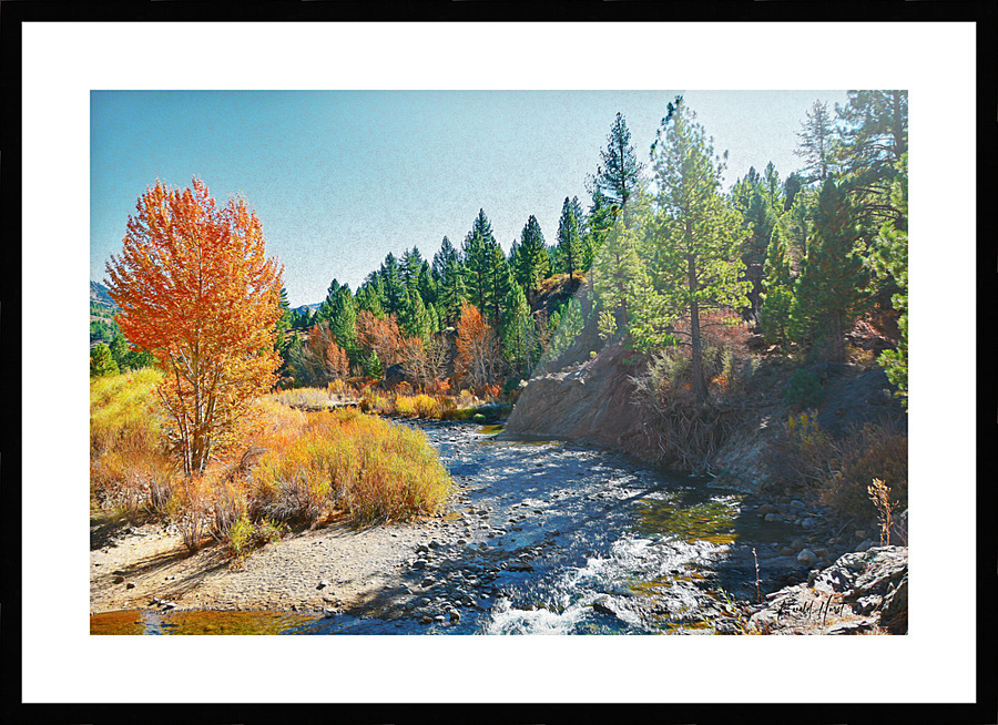  Fine Art print