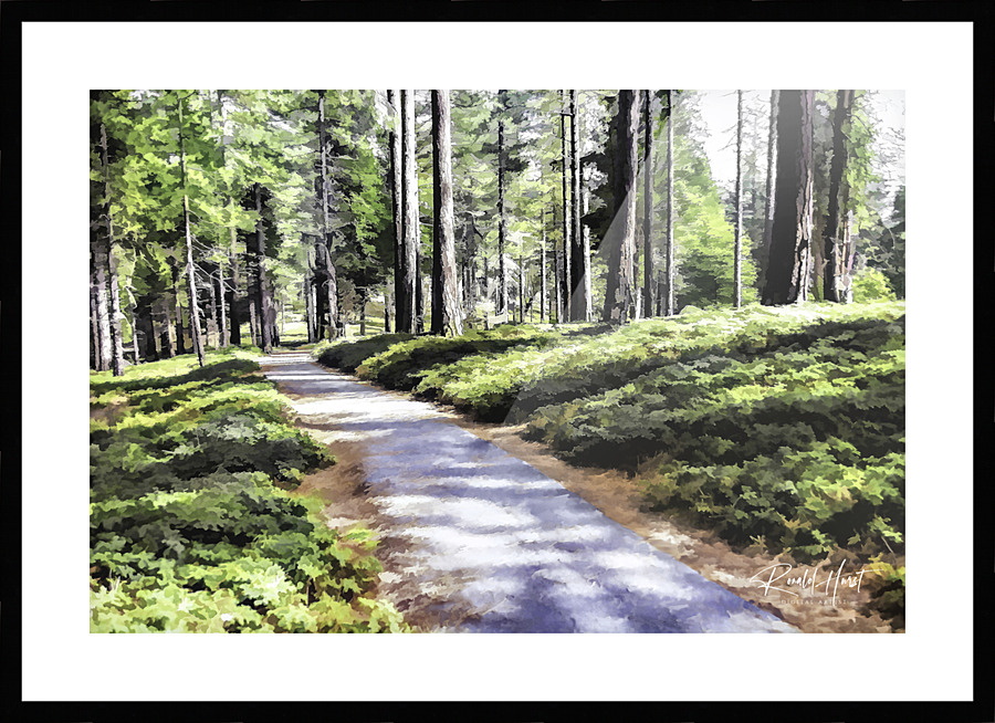  Fine Art print