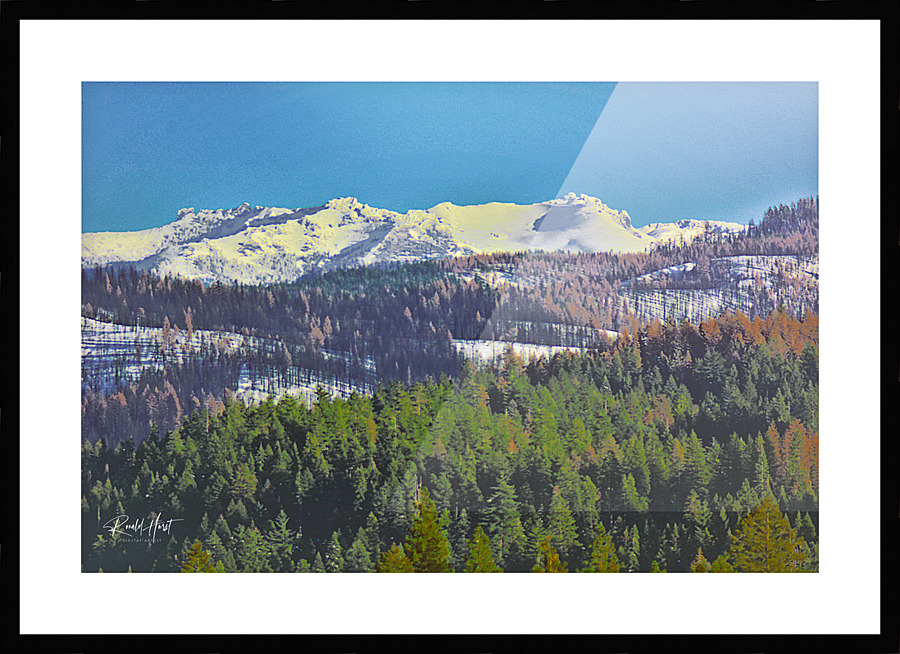  Fine Art print