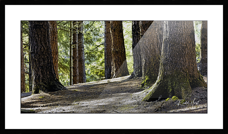  Fine Art print