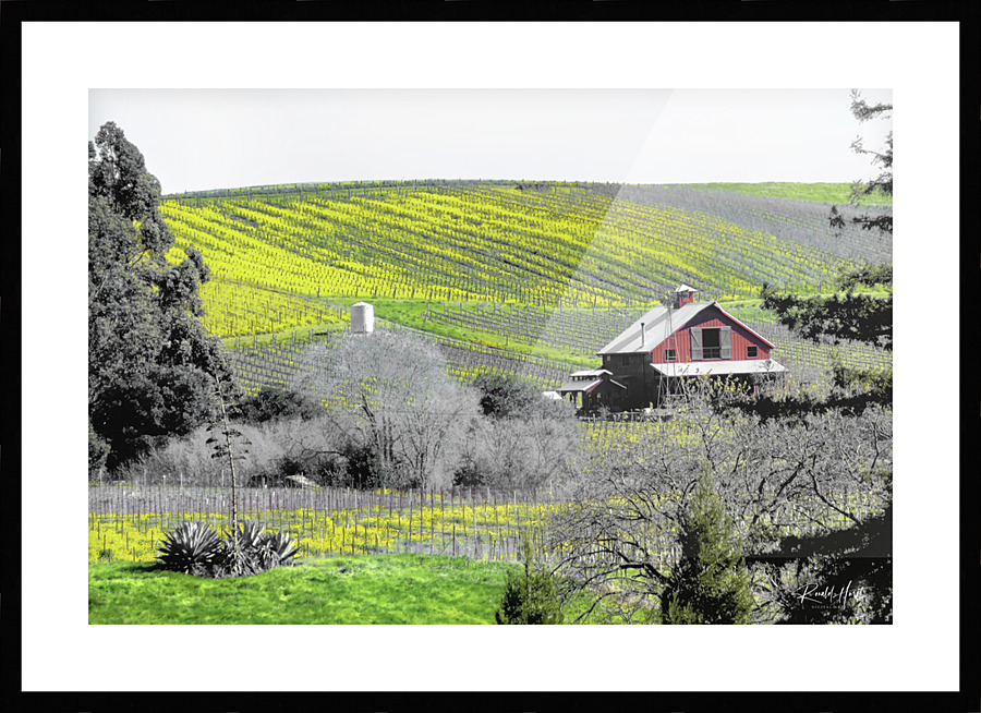  Fine Art print