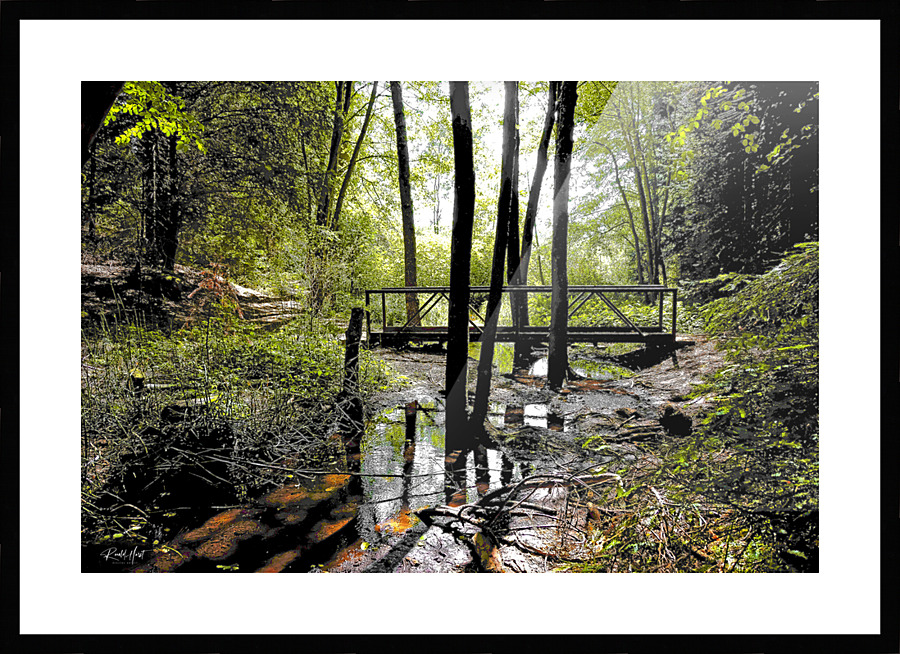  Fine Art print