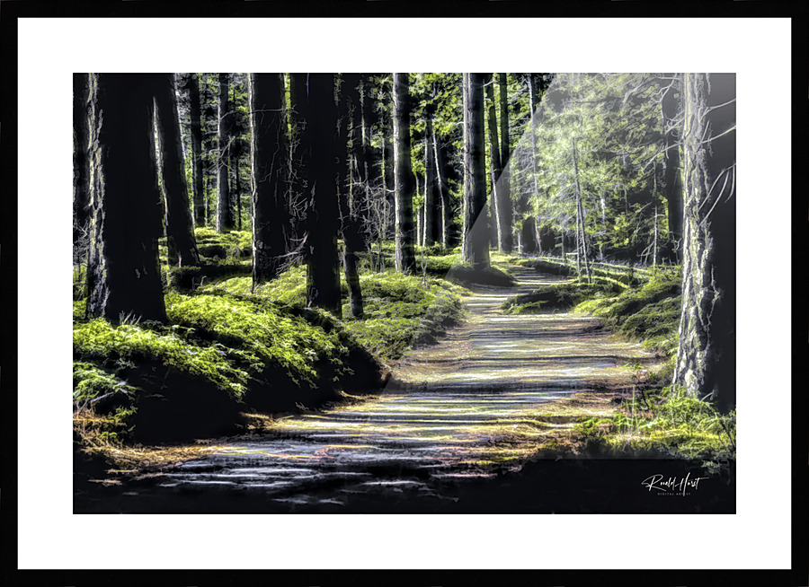  Fine Art print