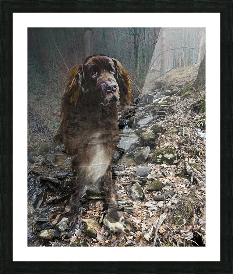 Baloo Picture Frame print