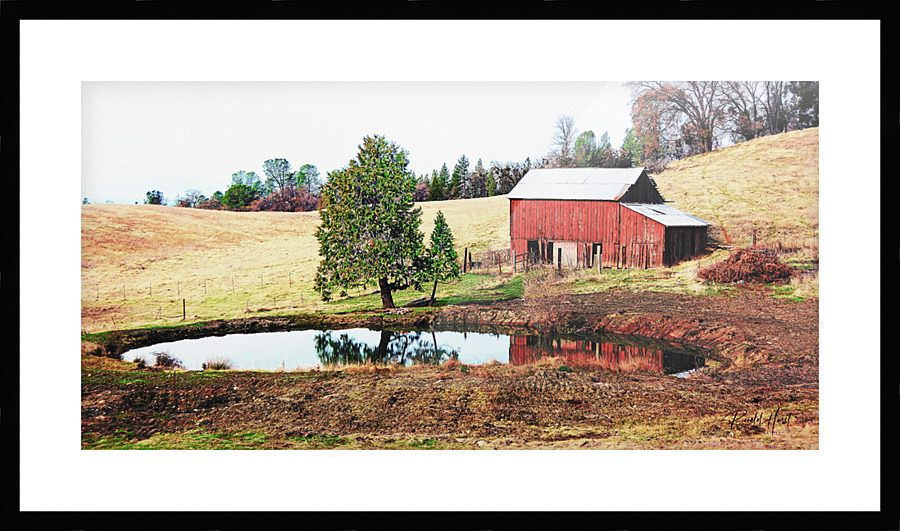  Fine Art print