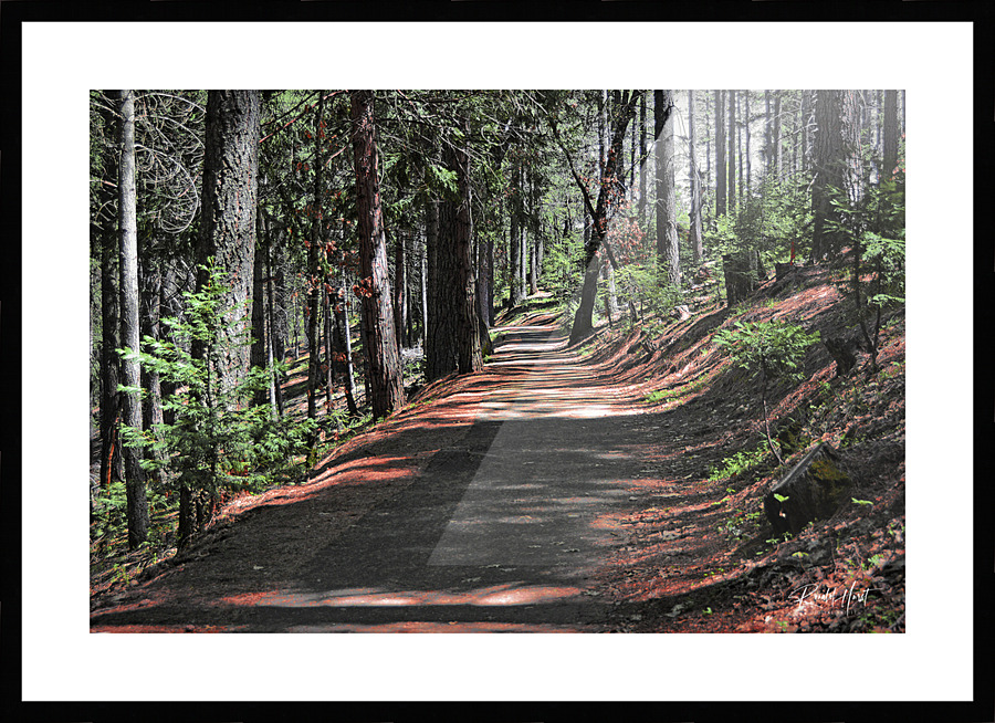  Fine Art print