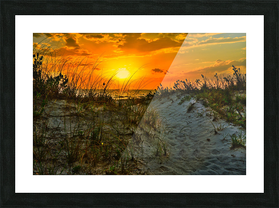 6289408E 001D 431B A222 F59D88C2962D Picture Frame print