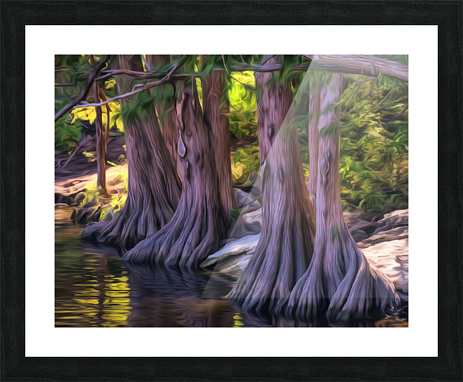 09F7C077 F323 47CC A3B3 C9ED6A07C8BF Picture Frame print