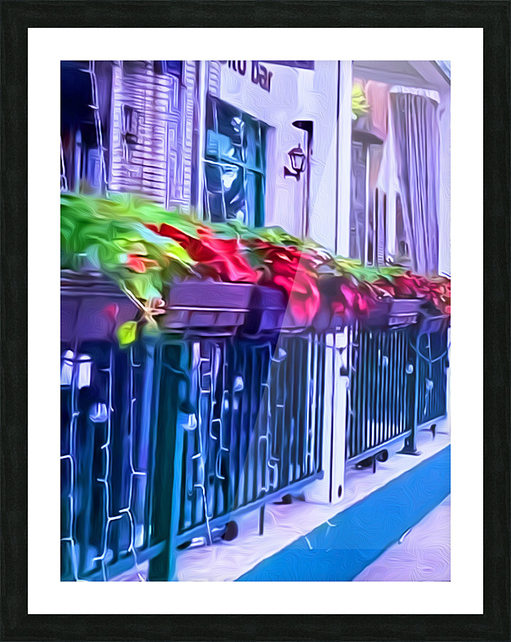 5B6B2994 FCBE 4A5D A84E 7DADB96479B0 Picture Frame print