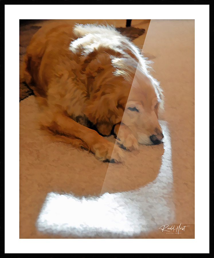  Fine Art print