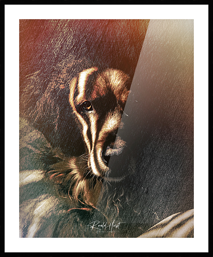  Fine Art print