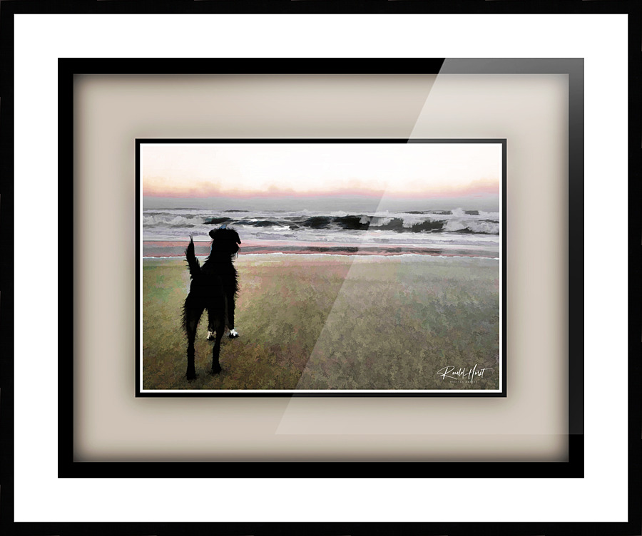  Fine Art print