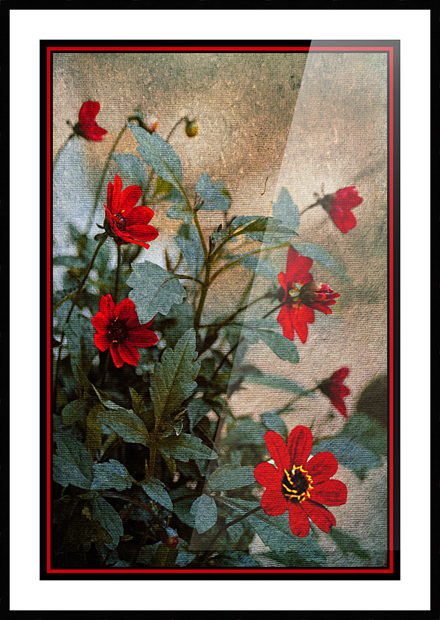  Fine Art print