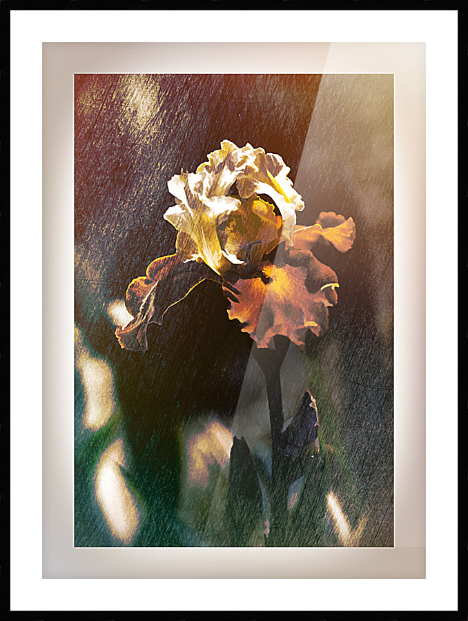  Fine Art print
