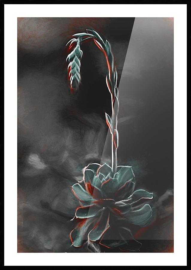  Fine Art print