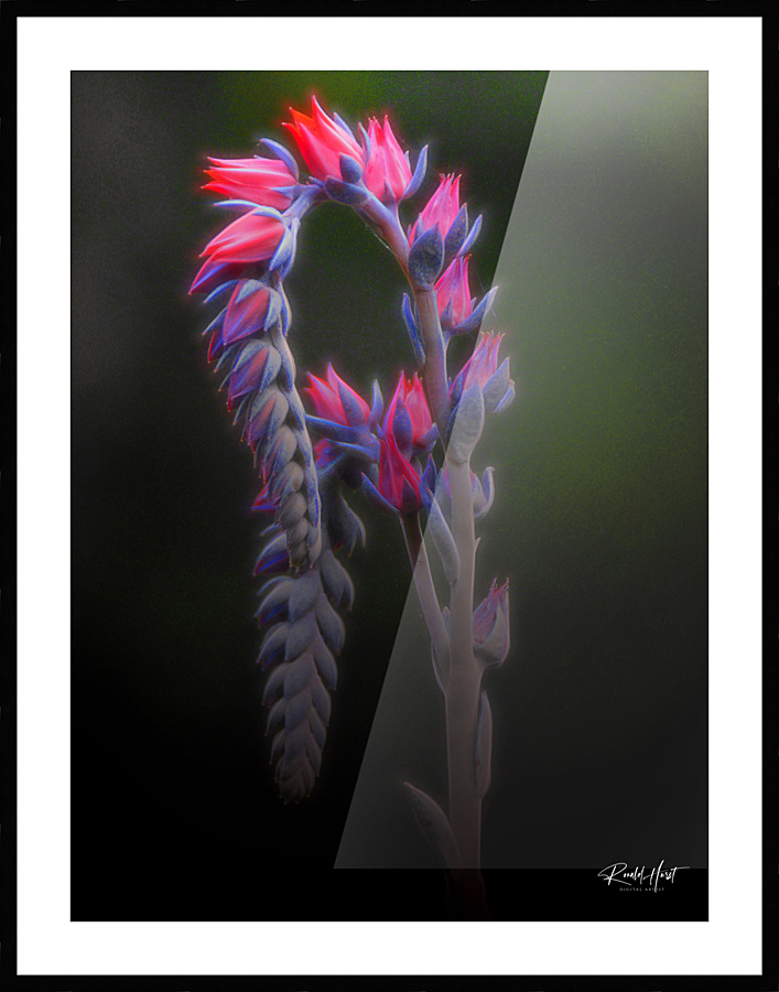  Fine Art print