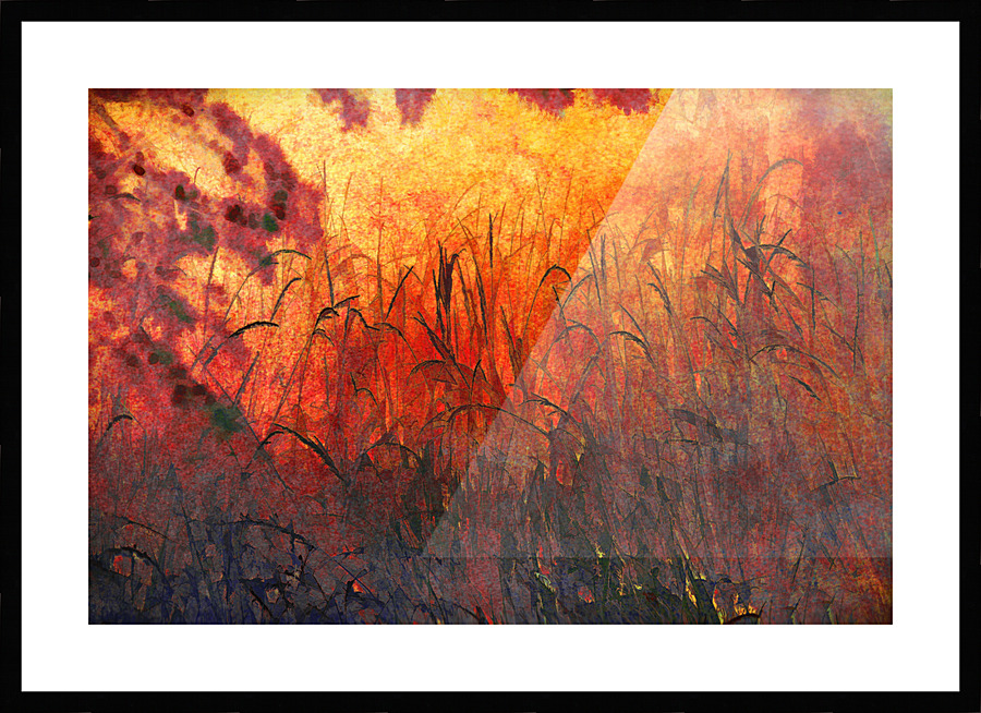  Fine Art print