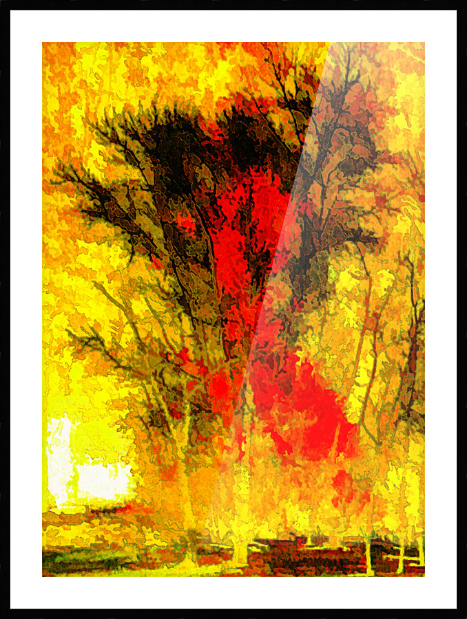  Fine Art print