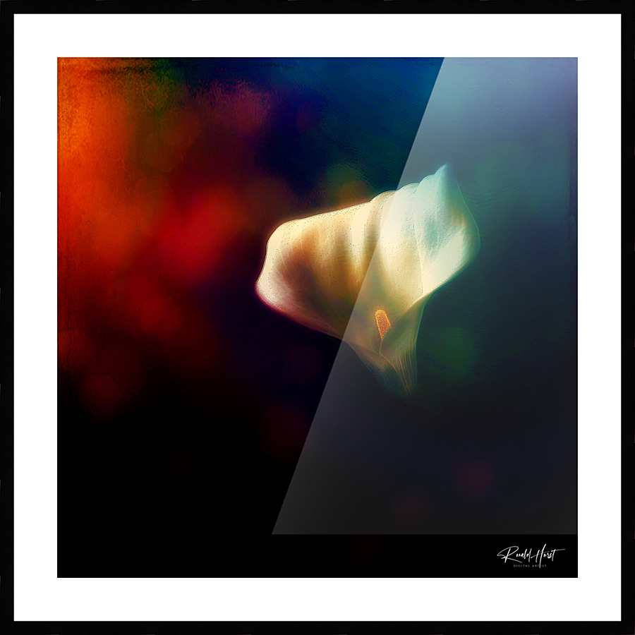  Fine Art print