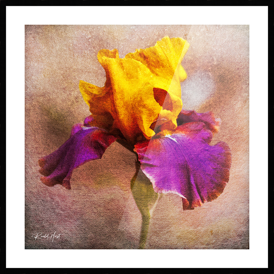  Fine Art print
