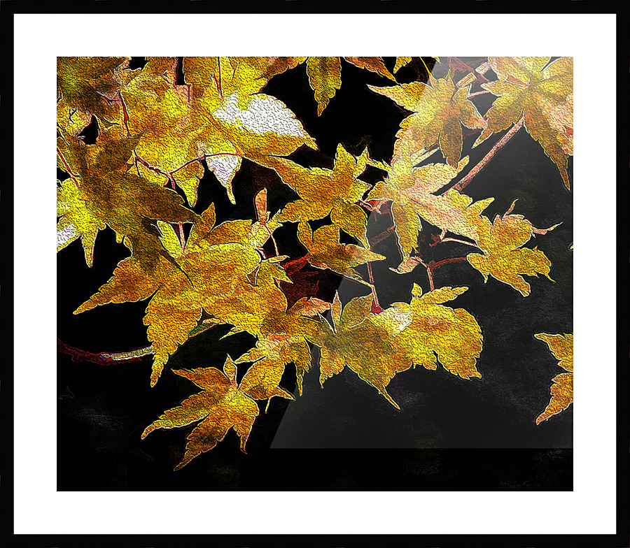  Fine Art print