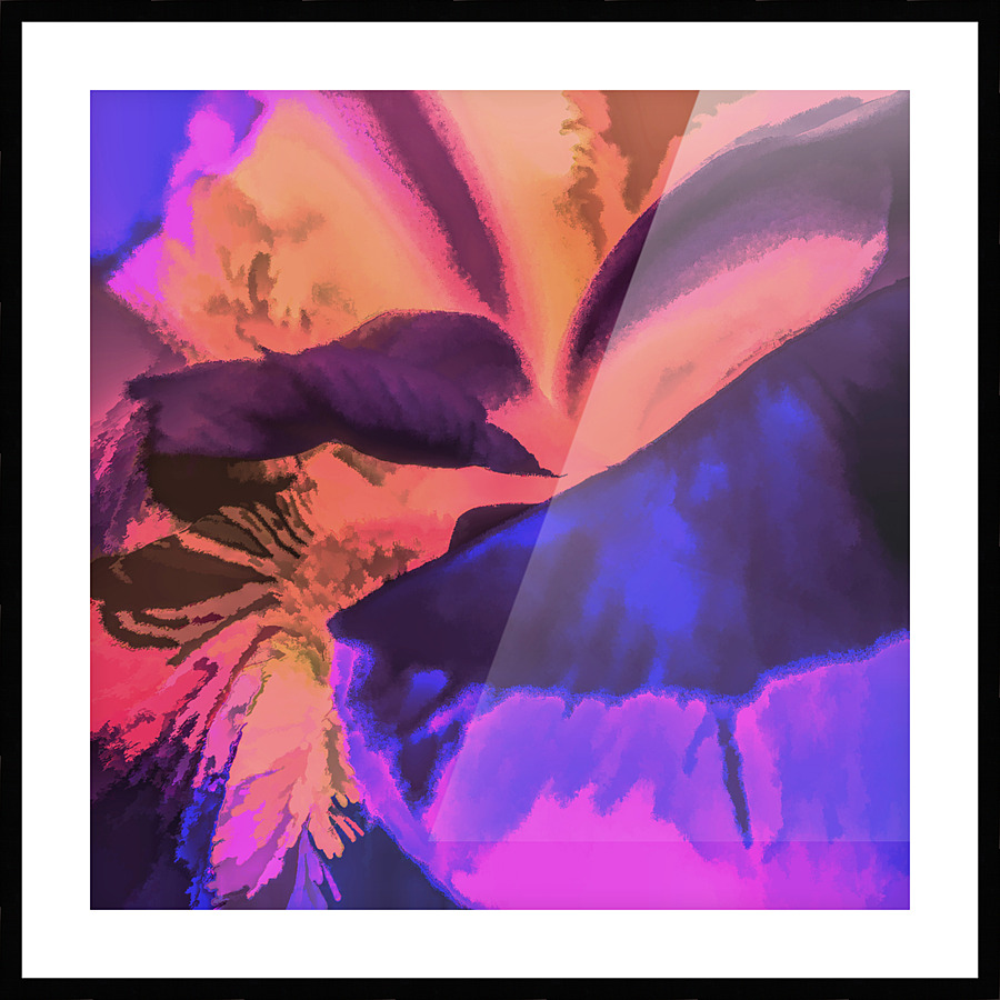  Fine Art print