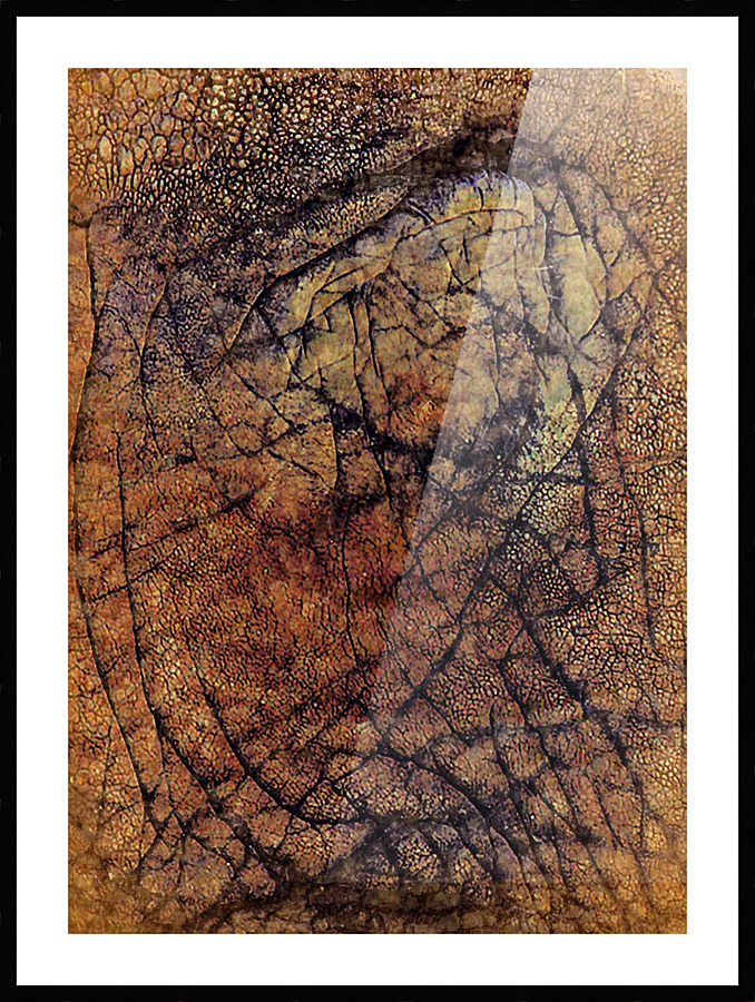  Fine Art print