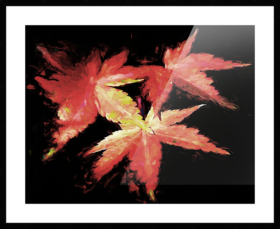  Fine Art print