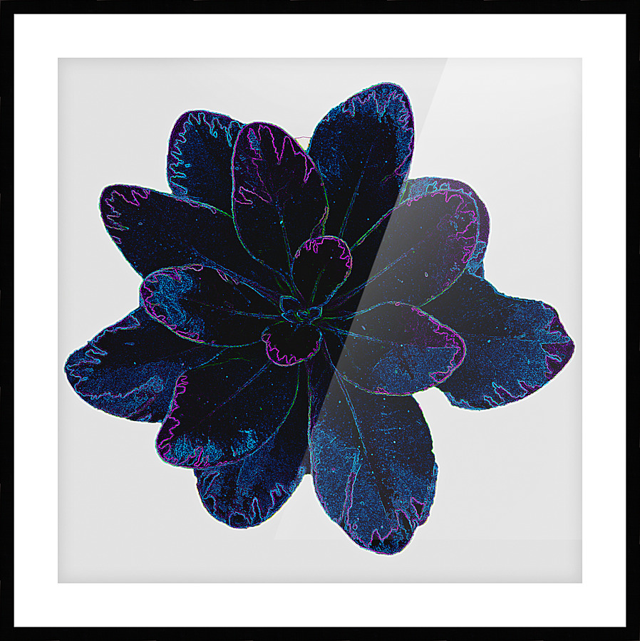  Fine Art print