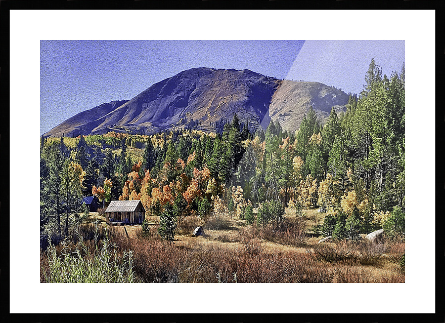  Fine Art print