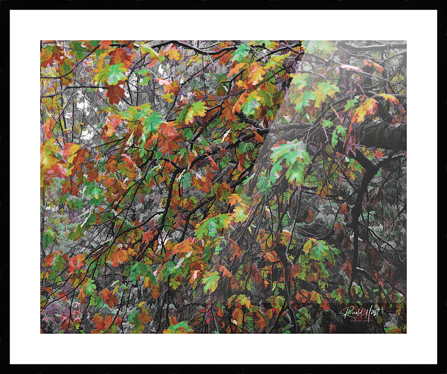  Fine Art print