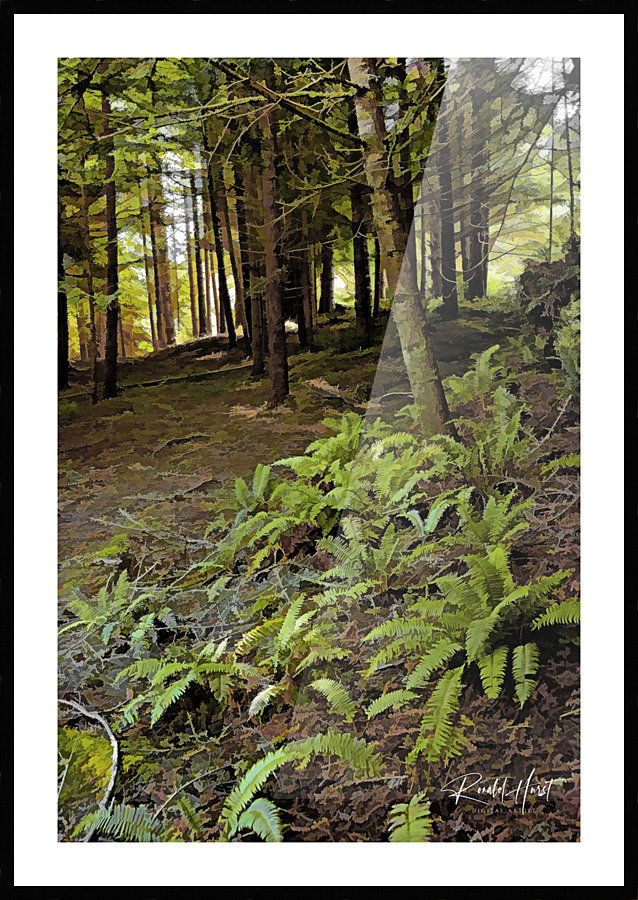  Fine Art print