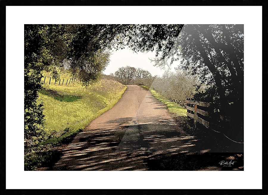  Fine Art print