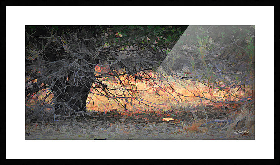  Fine Art print