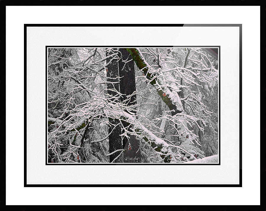  Fine Art print