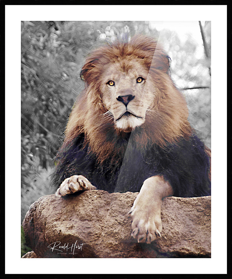  Fine Art print