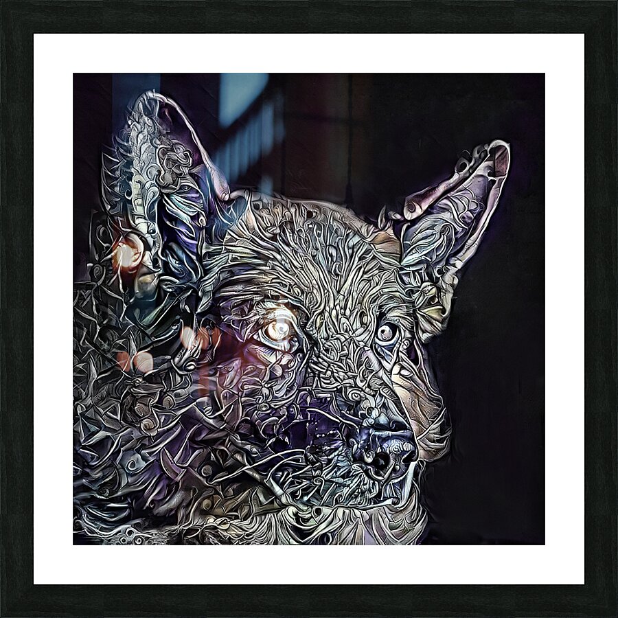 Duke The German Shepherd  Picture Frame print