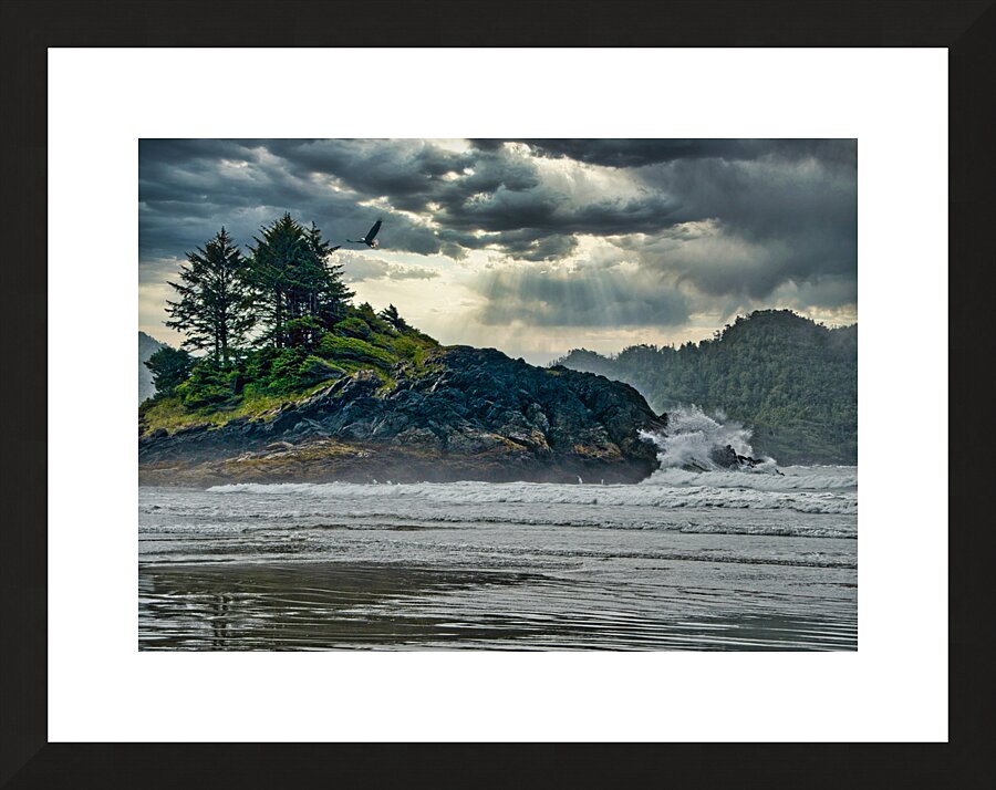 Before the Storm  Framed Print Print