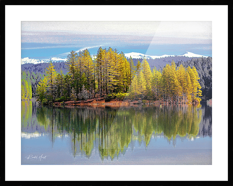  Fine Art print