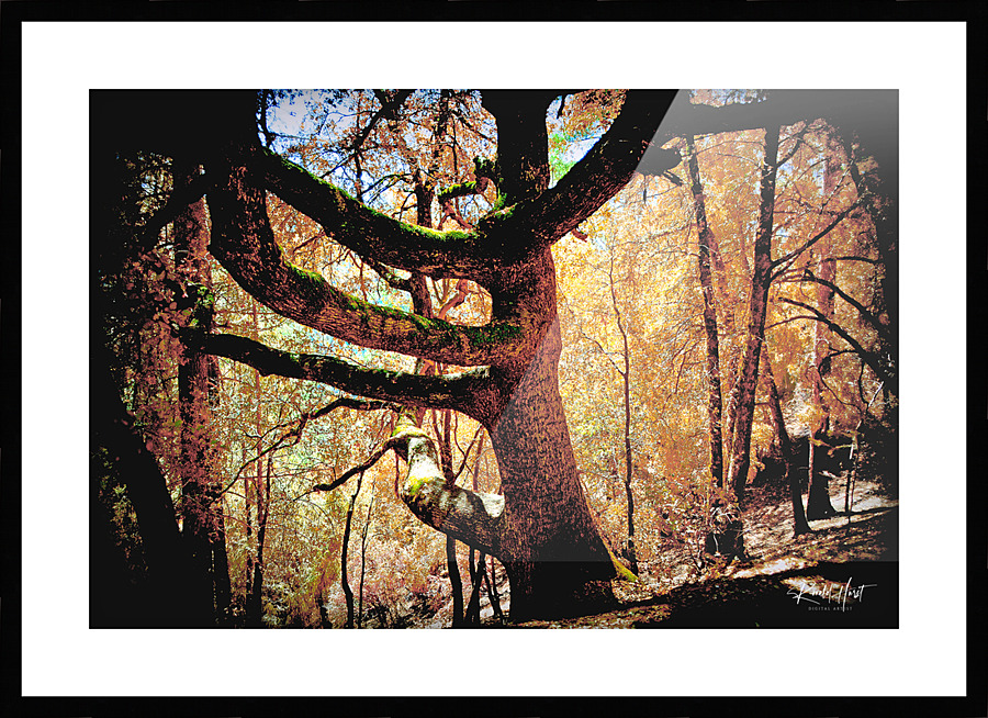  Fine Art print