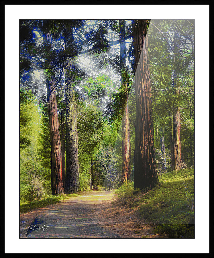  Fine Art print
