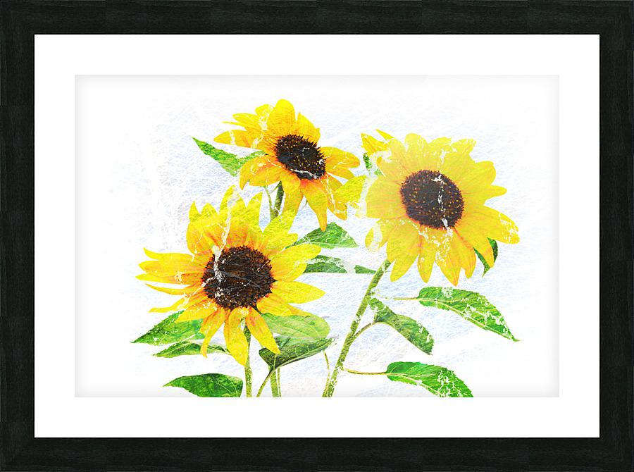 Abstract bouquet of flowering sunflowers Picture Frame print
