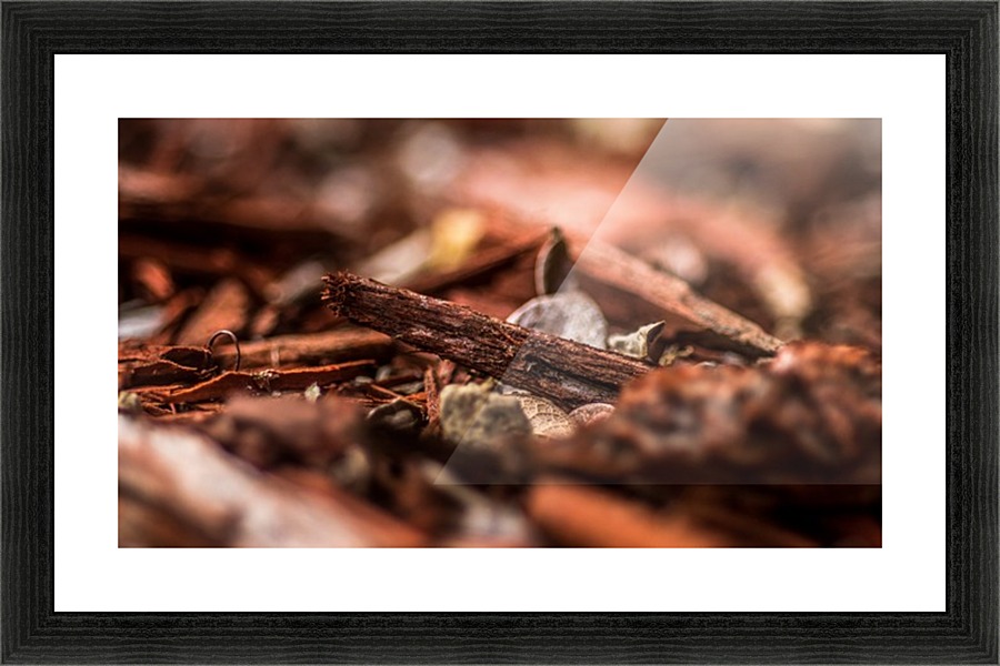 Wood Chips Picture Frame print