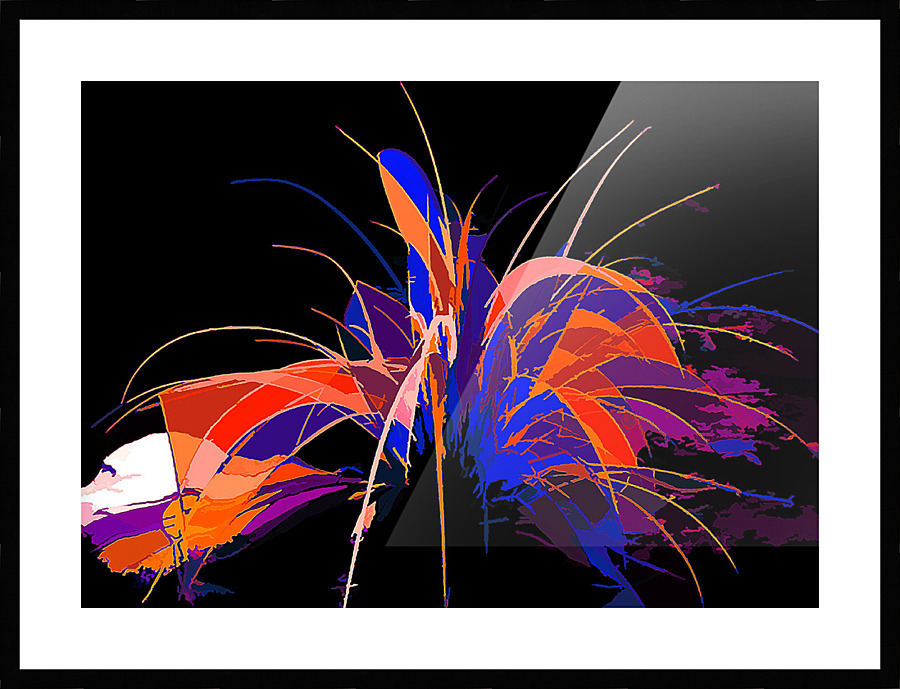  Fine Art print