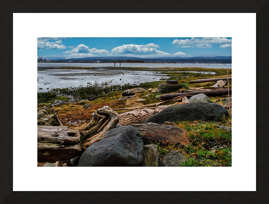 Morning At Filberg Park  Framed Print Print